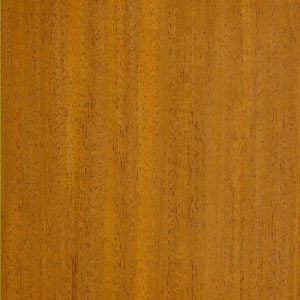 African Mahogany