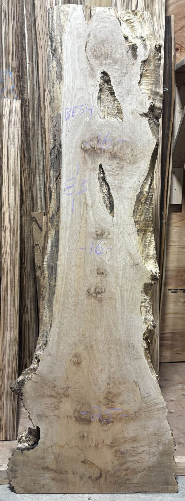 Birdseye Maple slab BES4