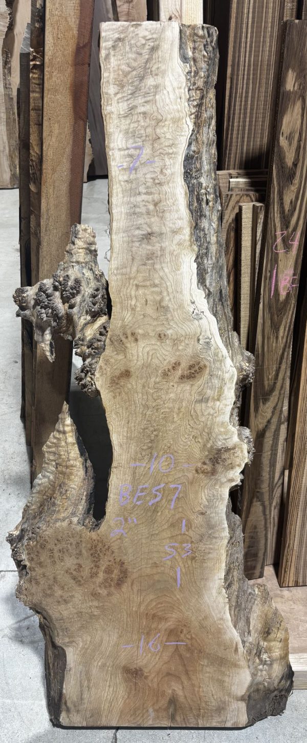 Birdseye Maple slab BES7