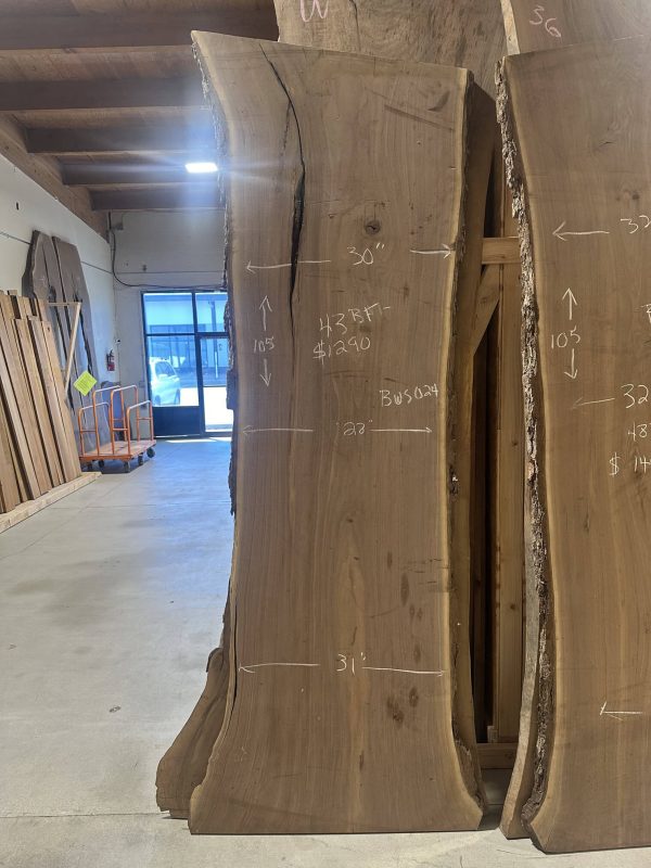 Black Walnut Premium Slabs