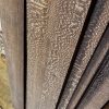 Leopardwood Hardwood Lumber Auburn Seattle Tacoma
