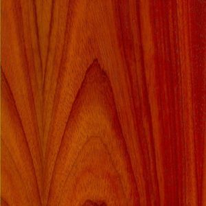 Padauk Plain Sliced Hardwoods For Sale Auburn & WA