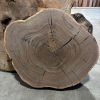 XL Black Walnut cookies - Image 5