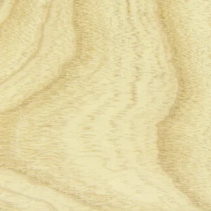 Close-up of a light ash hardwood board with soft wavy grain and fine texture at G&H Hardwoods in Auburn, WA