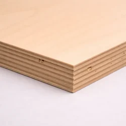 Close-up of the edge of C-2 birch plywood showing layered construction and darker core lines