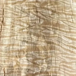 Close-up of figured maple hardwood board with shimmering curl grain