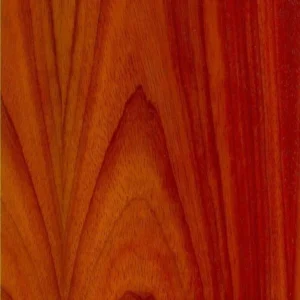Padauk wood grain showing vibrant orange-red color and coarse texture | G&H Hardwoods Auburn Seattle Tacoma