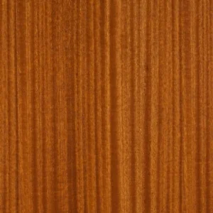 Close-up of ribbon-striped sapele hardwood grain in warm brown tones